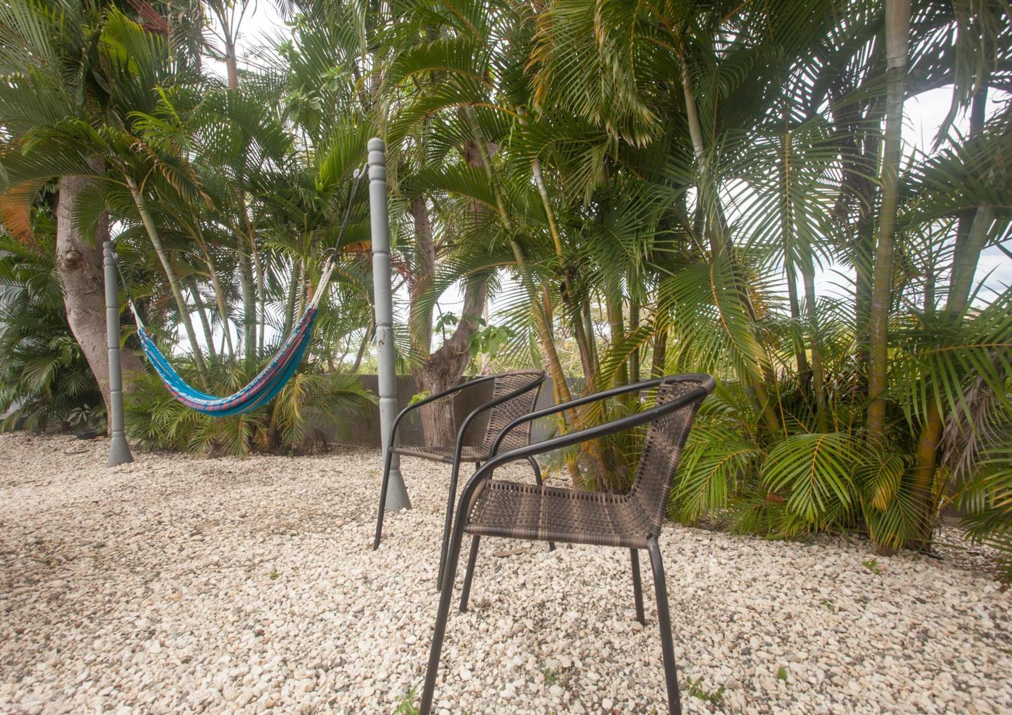 Casa Loba Suite 4 With Private Pool Ринкон Екстериор снимка