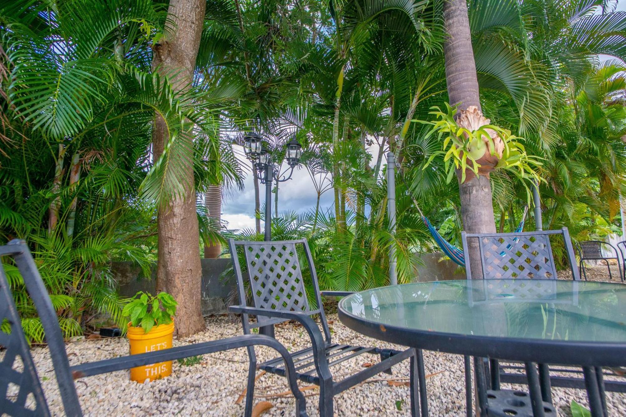 Casa Loba Suite 4 With Private Pool Ринкон Екстериор снимка